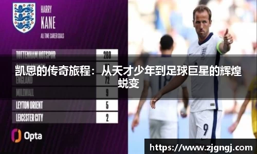 3377体育官网
