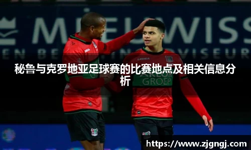 秘鲁与克罗地亚足球赛的比赛地点及相关信息分析